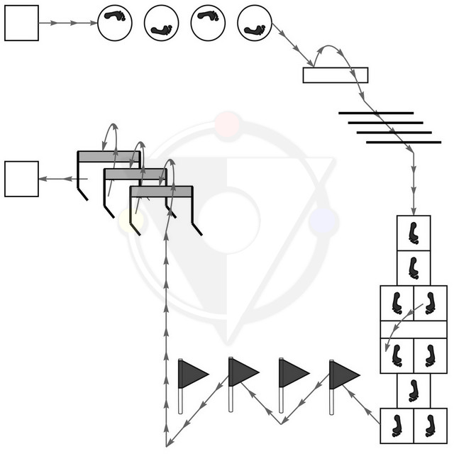 ../_images/sm_ill_oup_pts_07.jpg